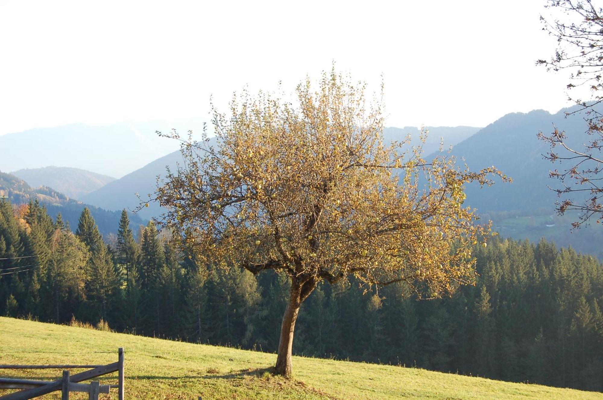 Walcherhof Arriach ภายนอก รูปภาพ