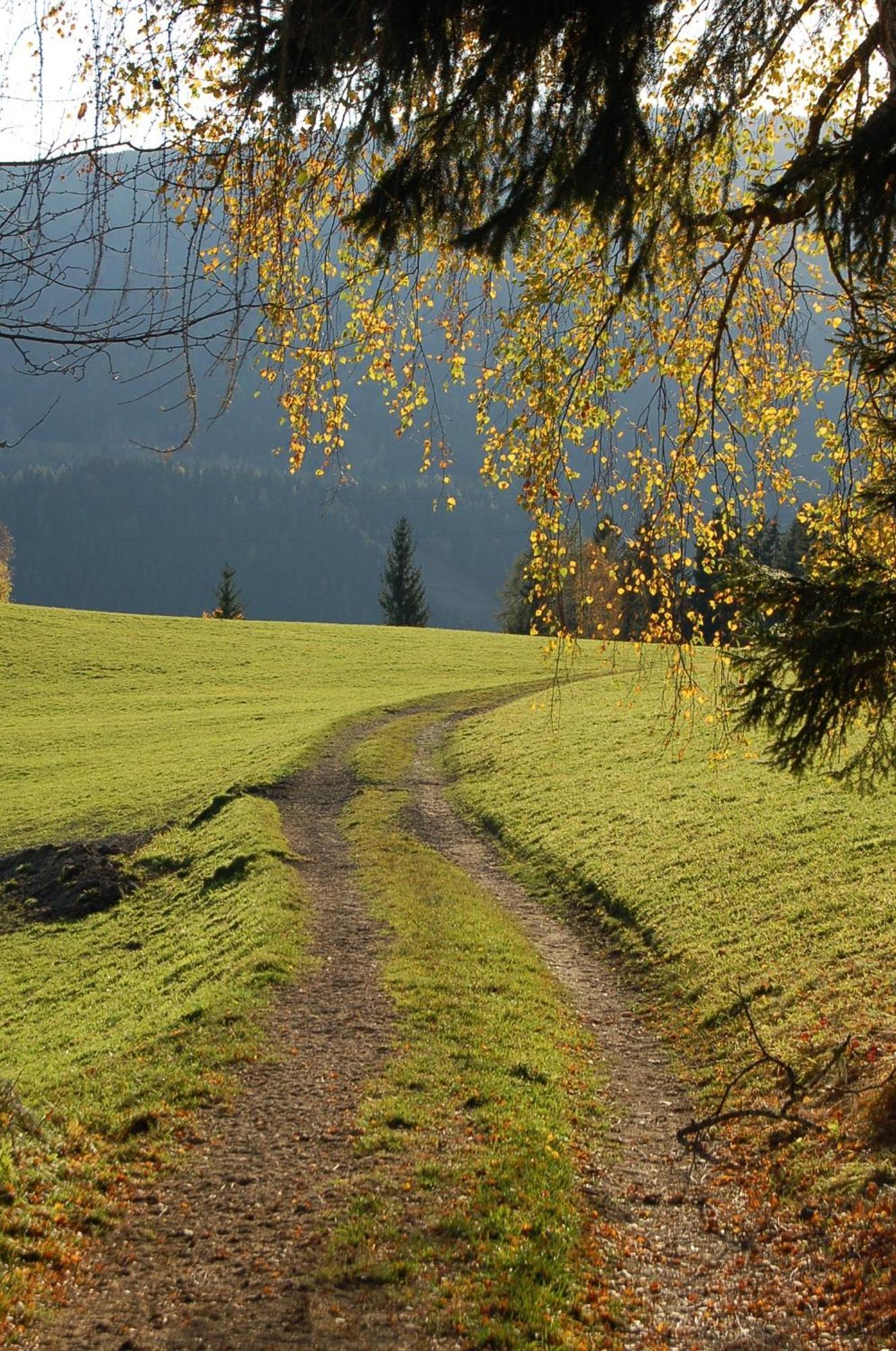 Walcherhof Arriach ภายนอก รูปภาพ