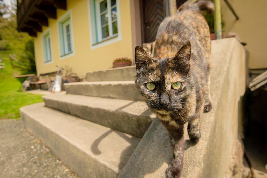 Walcherhof Arriach ภายนอก รูปภาพ
