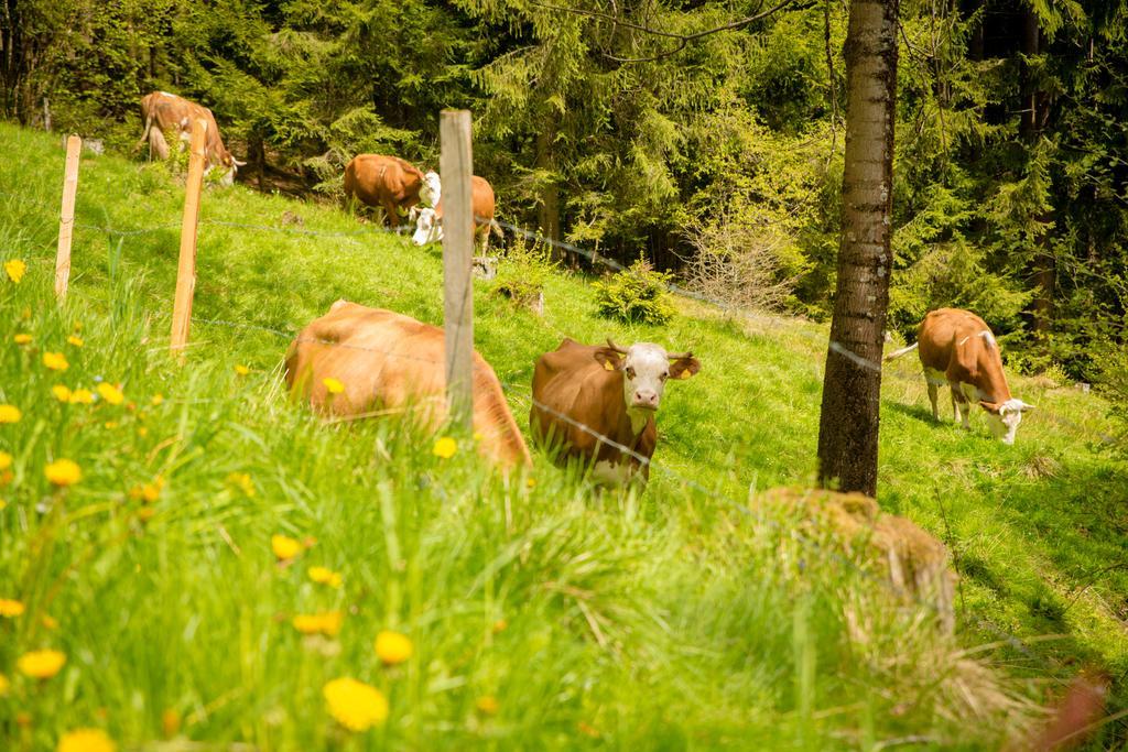 Walcherhof Arriach ภายนอก รูปภาพ